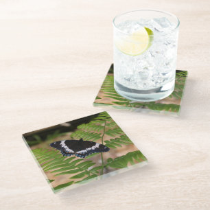 Zwarte vlinder op Fern Glass Onderzetter