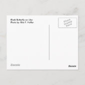 Zwarte vlinder op Lila Briefkaart (Achterkant)