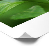 Zwarte vlinder poster (Hoek)