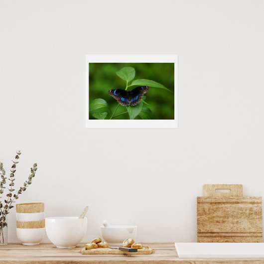 Zwarte vlinder poster (Keuken)