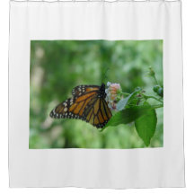  zwarte vlinder roze witte flacon