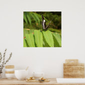 Zwarte vlinder witte vlinder poster (Keuken)