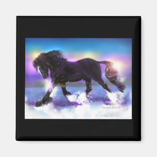 Zwarte voetshire magneet