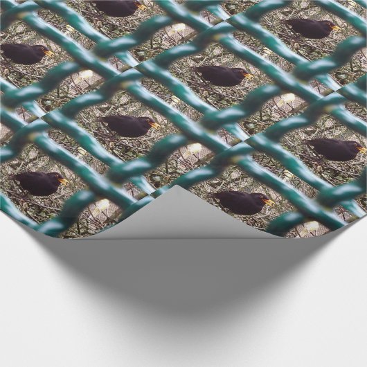 Zwarte vogel achter de tralies, Dier, Vogels, Zwar Cadeaupapier (Hoek)