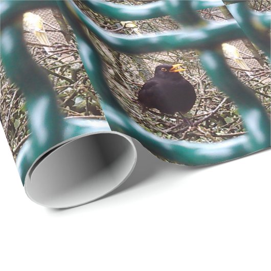 Zwarte vogel achter de tralies, Dier, Vogels, Zwar Cadeaupapier (Rol Hoek)