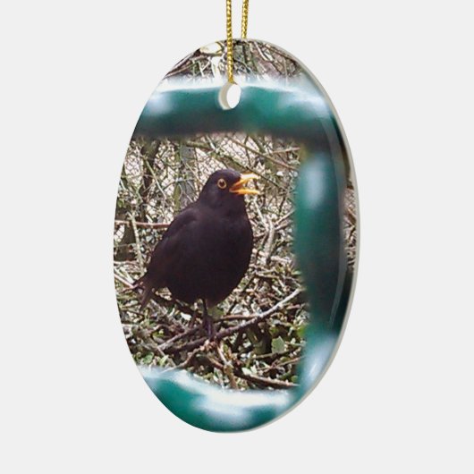 Zwarte vogel achter de tralies, Dier, Vogels, Zwar Keramisch Ornament (Links)