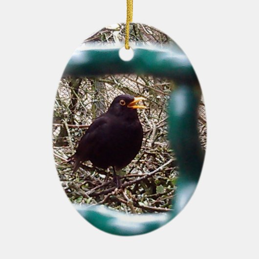 Zwarte vogel achter de tralies, Dier, Vogels, Zwar Keramisch Ornament (Voorkant)