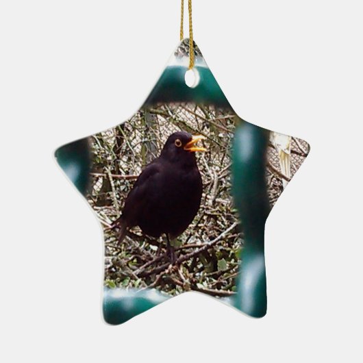 Zwarte vogel achter de tralies, Dier, Vogels, Zwar Keramisch Ornament (Rechts)