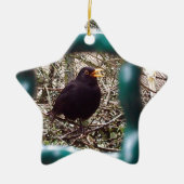 Zwarte vogel achter de tralies, Dier, Vogels, Zwar Keramisch Ornament (Voorkant)