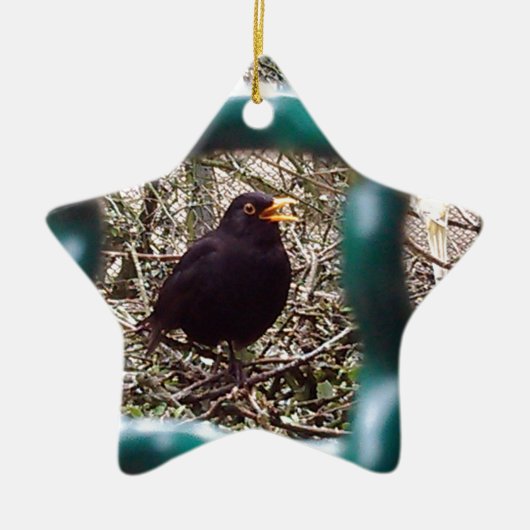 Zwarte vogel achter de tralies, Dier, Vogels, Zwar Keramisch Ornament (Voorkant)