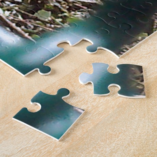 Zwarte vogel achter de tralies, Dier, Vogels, Zwar Legpuzzel (Zijkant)