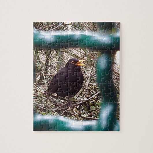 Zwarte vogel achter de tralies, Dier, Vogels, Zwar Legpuzzel (Verticaal)