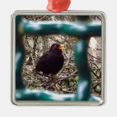 Zwarte vogel achter de tralies, Dier, Vogels, Zwar Metalen Ornament (Voorkant)
