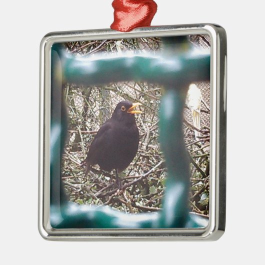Zwarte vogel achter de tralies, Dier, Vogels, Zwar Metalen Ornament (Links)