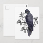 Zwarte vogel Australische zwarte cocaïne Briefkaart (Voorkant / Achterkant)