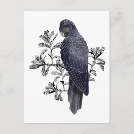 Zwarte vogel Australische zwarte cocaïne Briefkaart