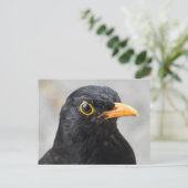 Zwarte vogel briefkaart (Staand voorkant)