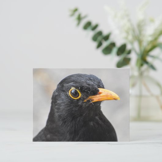 Zwarte vogel briefkaart (Staand voorkant)