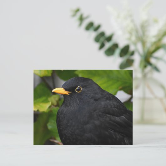 Zwarte vogel briefkaart (Staand voorkant)