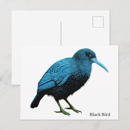 Zwarte Vogel Briefkaart (Voorkant / Achterkant)