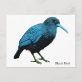 Zwarte Vogel Briefkaart (Voorkant)