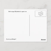Zwarte vogel briefkaart (Achterkant)