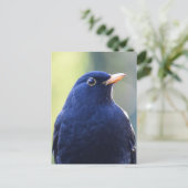 Zwarte vogel briefkaart (Staand voorkant)