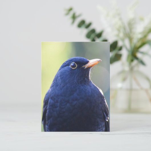 Zwarte vogel briefkaart (Staand voorkant)