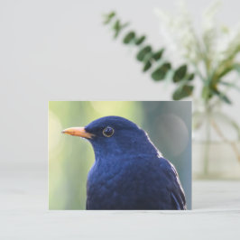 Zwarte vogel briefkaart