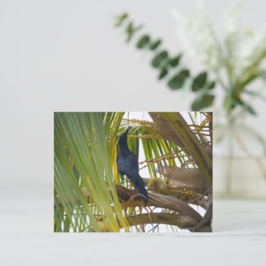 Zwarte vogel briefkaart (Staand voorkant)