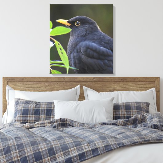 Zwarte vogel canvas afdruk (Insitu (Slaapkamer))