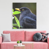 Zwarte vogel canvas afdruk (Insitu (Woonkamer))