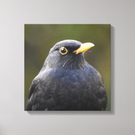 Zwarte vogel canvas afdruk