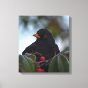 Zwarte vogel canvas afdruk