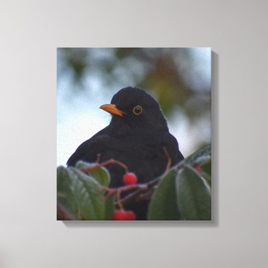 Zwarte vogel canvas afdruk (Voorkant)
