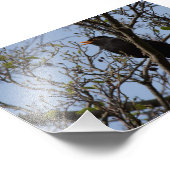 Zwarte vogel foto afdruk (Hoek)