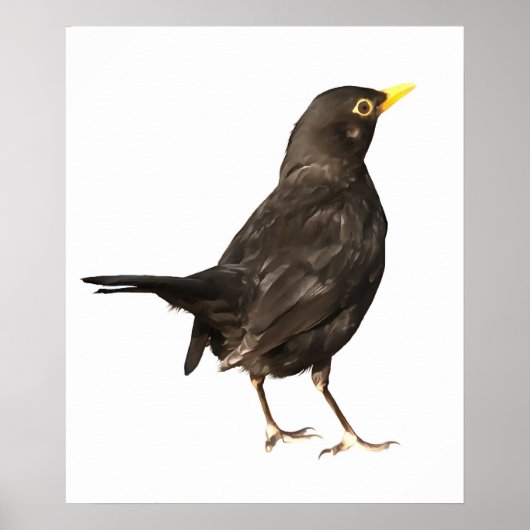 Zwarte vogel, geïsoleerd op witte acrylverf poster (Voorkant)