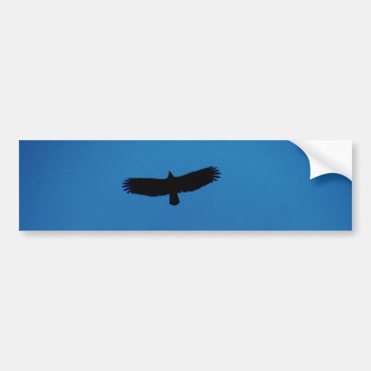 Zwarte vogel in een blauwe hemel bumpersticker (Voorkant)