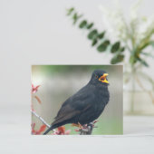 Zwarte vogel in een boom briefkaart (Staand voorkant)