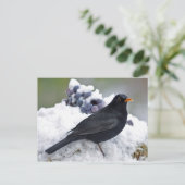 Zwarte vogel in sneeuw briefkaart (Staand voorkant)