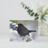 Zwarte vogel in sneeuw briefkaart (Staand voorkant)