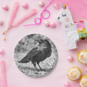 Zwarte vogel, kraai, op de rotsen papieren bordje (Feest)