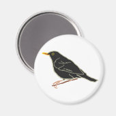 Zwarte vogel magneet (Voorkant / Achterkant)