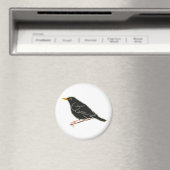Zwarte vogel magneet (Insitu (Vaatwasser))