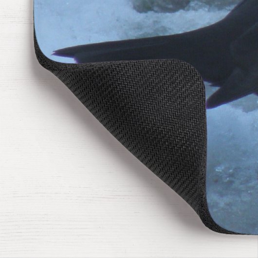 Zwarte vogel op ijs Mousepad Muismat (Hoek)