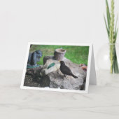 Zwarte Vogel Op Rotsen Kaart (Voorkant)