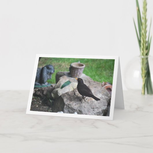 Zwarte Vogel Op Rotsen Kaart (Voorkant)