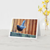 Zwarte Vogel Op Schutting Kaart (Gele Bloem)