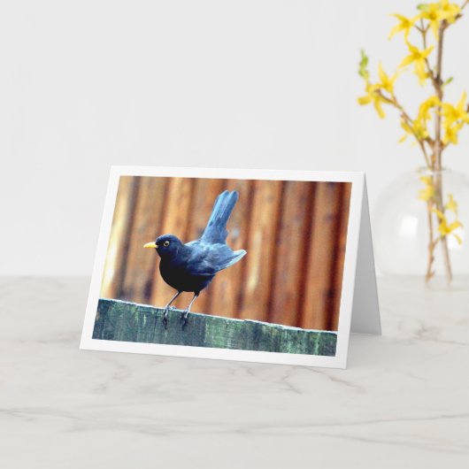 Zwarte Vogel Op Schutting Kaart (Gele Bloem)