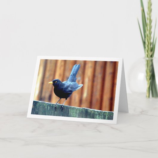 Zwarte Vogel Op Schutting Kaart (Voorkant)